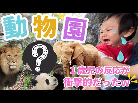 【1歳0ヶ月】まさかの大号泣！？ /  動物が怖い？ / 多摩動物公園 【育児 / おでかけ / 1歳児 / 動物園】