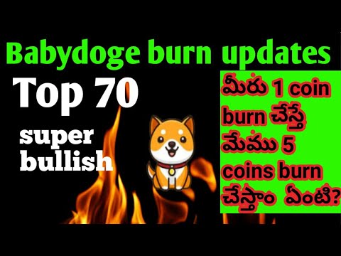 Babydoge coin latest updates/ If u burn 1coin we will burn 5 coins / babydoge coin burning in telugu