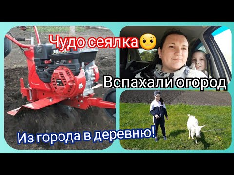 Отличная погода! Чудо аппарат для бурака! Испытали новый мотокультиватор!