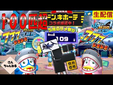 サメド情ちゃん最後の日！釣り納めじゃー！釣りスピリッツ 釣って遊べる水族館実況プレイ 【さんちゃん】　生配信