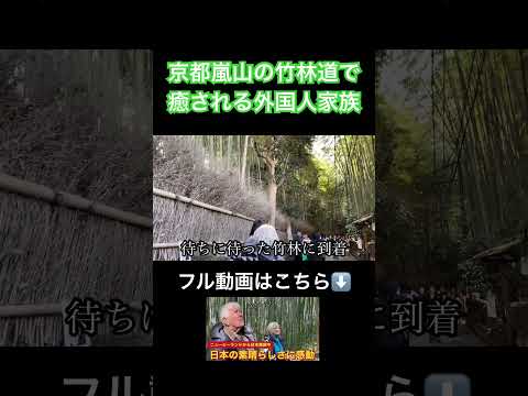 京都嵐山の竹林道で癒される外国人家族 #日本旅行 #外国の反応 #京都 #嵐山