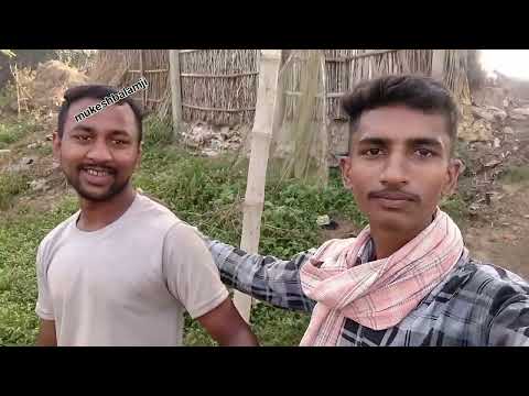 chhat ghat ki taiyari  @mukeshbalamji499 #chhatpuja  #viralvideo