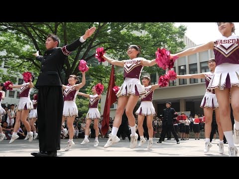 オープンキャンパス2015① 紺碧の空 早稲田大学応援部チアリーダーズBIG BEARS