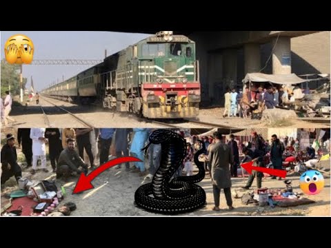 Dangerous Snakes 🐍 Circus & Live Tezgam Express Train | Pakistan Railways