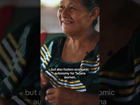 The Tacana Weavers