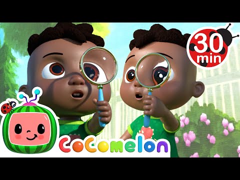 What Can Cody Find?! | CoComelon Kids Songs & Nursery Rhymes