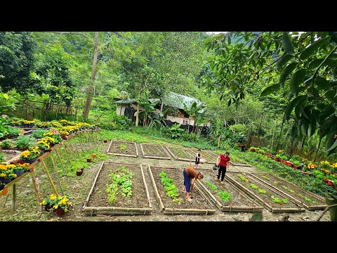 How To Make Vegetable Beds With Bamboo - Harvest Vegetables And Bring Them To The Market To Sell