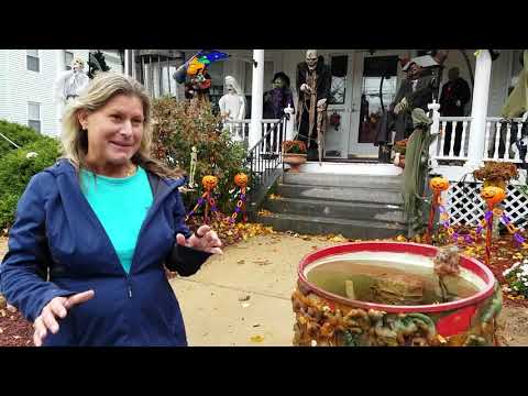 Halloween decorations in Leominster