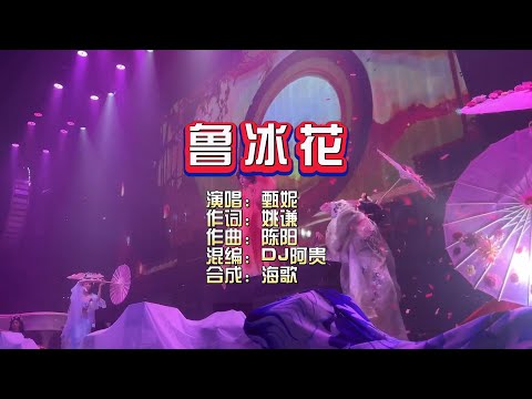 甄妮《鲁冰花》DJ阿贵 Electro Mix KTV 导唱字幕 （备有伴奏视频）