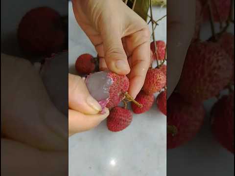 How to Peel Lychee Fruit easily l Juicy Summer Fruit l #shorts #shortsfeed #fruitcutting