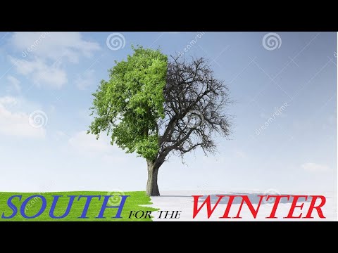 Learn English Through Story  : South for the Winter (level 2)