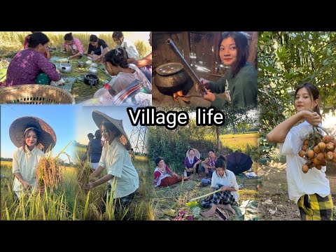 Village  life//Kheto Mai ralaimi//