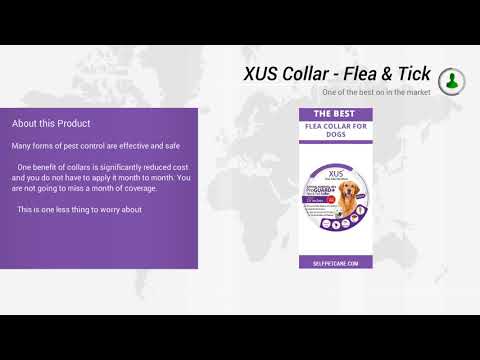 XUS Collar   Flea & Tick