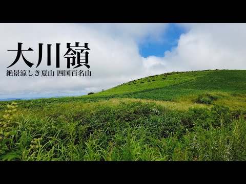 【登山】大川嶺 真夏 涼風の笹原 絶景の四国百名山を歩いてきました。愛媛県久万高原町