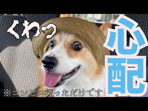 出かけた先で戻ってこない父を心配して目がバキバキになる愛犬がかわいい