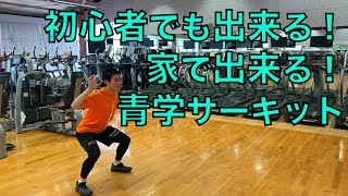 【初心者向け🔰】５分で出来る❗️青学サーキット~下半身編~