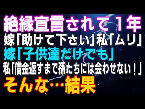 【スカッとする話】絶縁宣言されて１年 嫁「助けて下さい」私「ムリ」嫁「子供達だけでも」私「借金返すまで孫たちには会わせない！」そんな…結果