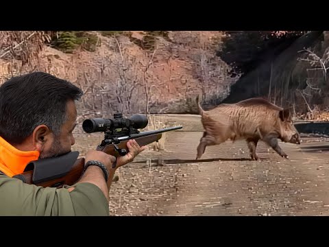 Ultimate MONSTER BOAR Hunts, FEARLESS Dogs, Unbelievable ACTION! #hunting #hog