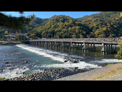 Most interesting boat ride in Arashiyama, Japan