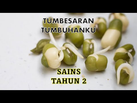 Tumbesaran Tumbuhanku