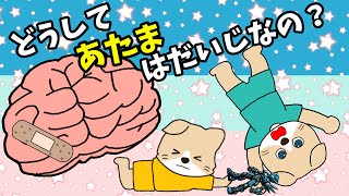 【アニメ 絵本読み聞かせ】どうして頭は大事なの？〜脳の知育アニメ〜