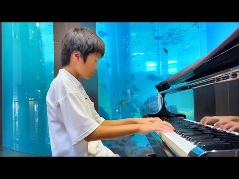 "Ballade Pour Adeline" with a Beautiful Aquarium View