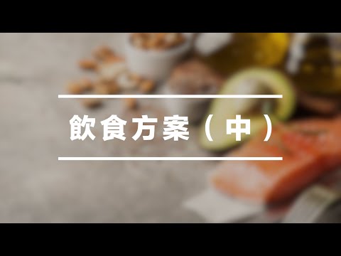 【必看】飲食方案（中）