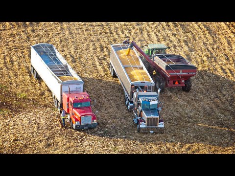 Calling For Backup! - Finishing Corn Harvest