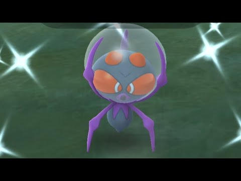 Shiny Dewpider Spotlight Hour!