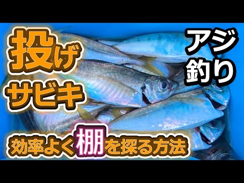 アジ狙いの投げサビキ釣りで、効率よく棚を合わせ爆釣する方法