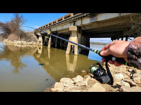 Fishing Under a BUSY INTERSTATE BRIDGE!! (Lots of fish)