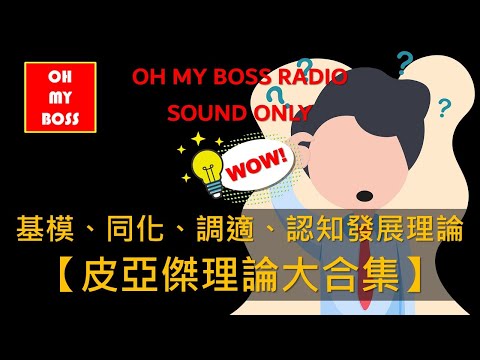 皮亞傑理論大合集 基模 適應 同化 調適 發生知識論 認知發展理論