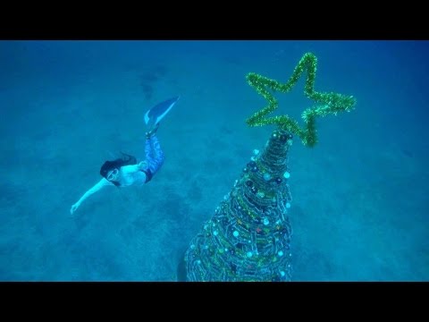 Freediving - Merry X'mas! IOP, December 2016