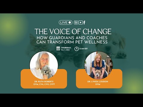 The Voice of Change: How Guardians and Coaches Can Transform Pet Wellness