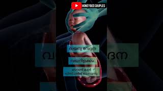 പ്രസവം അടുക്കറായതിന്റെ ലക്ഷണങ്ങൾ.#pregnancy #youtube #subscribe