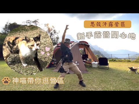 哲遊記Camping  ❤︎ 第12露｜苗栗泰安鄉｜📍思榖汗露營區｜路況介紹｜營區介紹｜喵喵（比我家的貓還乖）｜新手露營區推薦｜petromax鍛鐵燒烤盤