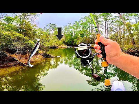 Fishing Micro Swimbaits in this Creek for Prehistoric Fish! *EPIC*