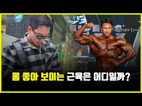 몸 좋아 보이려면 '무조건' 키워야 하는 근육 부위는 어디일까? (feat. 박승현, 박재훈)