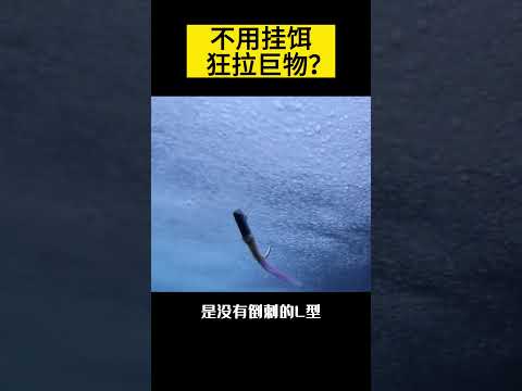 【科技趣闻】不用挂饵，狂拉巨物？他们是如何做到的？ #shorts