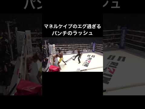 マネルケイプのパンチのラッシュがやばすぎまる【RIZIN】#shorts