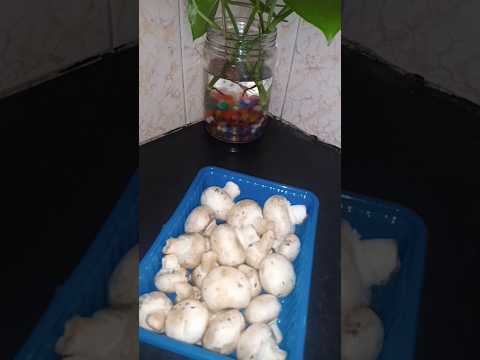 How I clean mushrooms? #clean  #mushroom #short #healthycooking #indianspice #instareels #insta