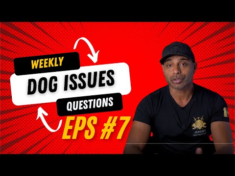 Dog training k9 dog trainer obedience protection tactical training tips and tricks weekly QnA EP7