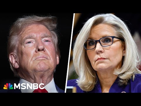 A Liz Cheney investigation ‘would fail right at the get go’: Katyal condemns bogus Trump threat