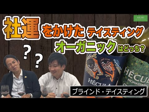 社運をかけたテイスティング　ヘクラ・オーガニックはどっち？　若手営業マン ブラインドテイスティング　｜アグリワインチャンネル