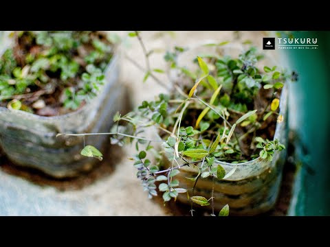 Can plants and vegetables grow on clay soil excavated in the mountains?