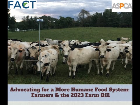 Advocating for a More Humane Food System: Farmers & the Farm Bill