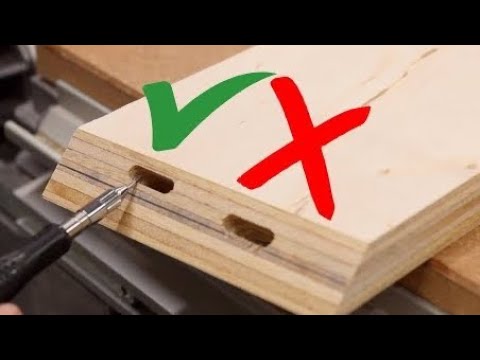 What every domino owner needs to know