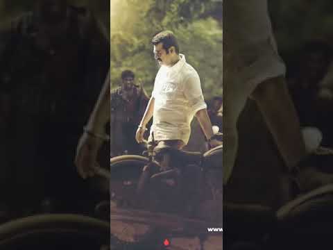 Oru Pakka Marmam Yennai Arindhaal Thala WhatsApp Status Stumbit