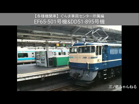 【機関車各種】ぐんま車両センタ－所属編　EF65-501号機&DD51-895号機