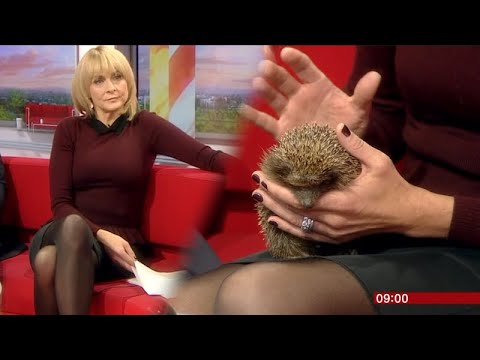 Louise Minchin | Burgundy Top + Black Stockings!